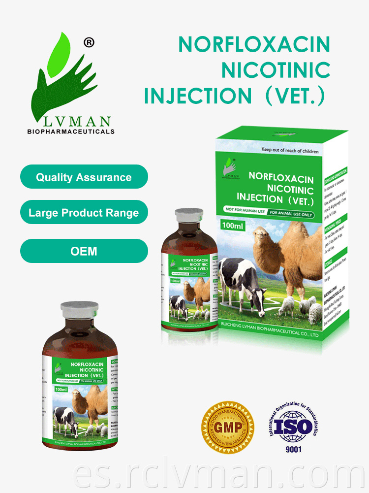 Norfloxacin Injection